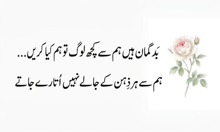 "Attitude Shayari in Urdu