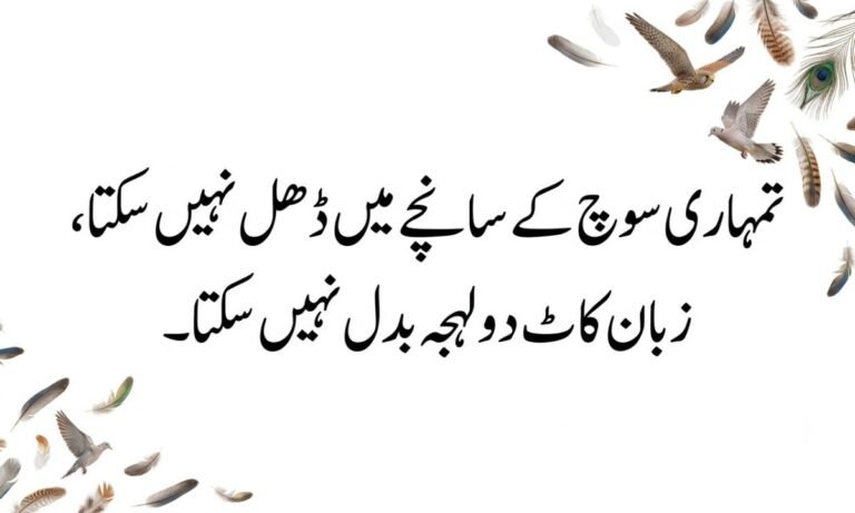 Attitude poetry in urdu