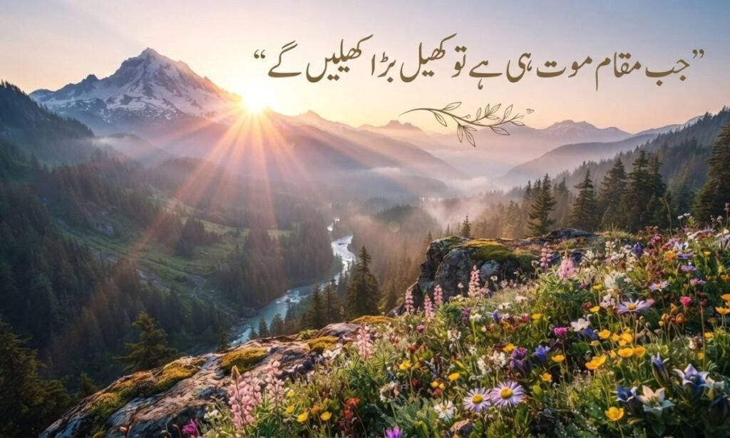Aesthetic Urdu Quotes