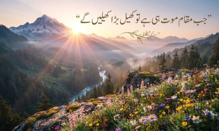 Aesthetic Urdu Quotes
